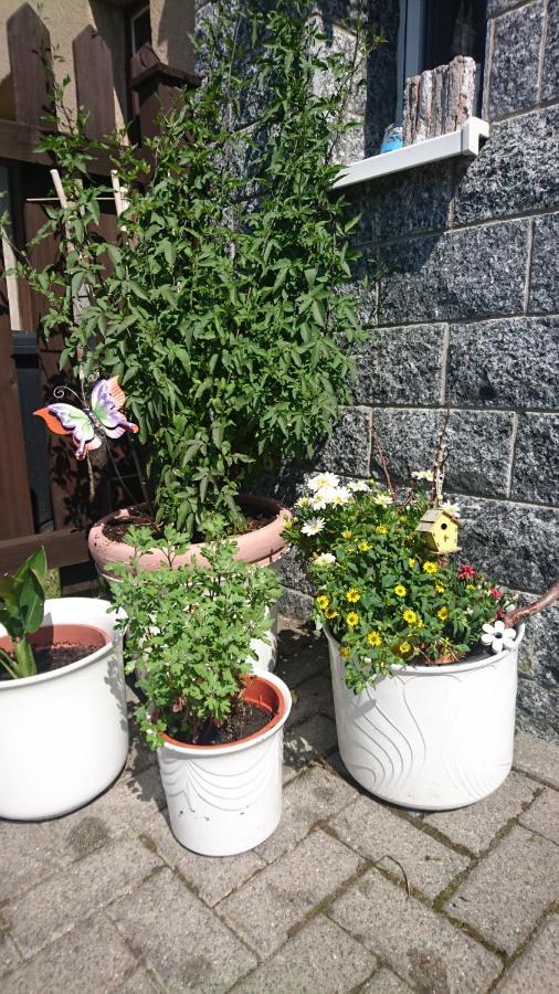 Ferienwohnung Mit Garten Und Spielplatz Klingenthal Exteriör bild