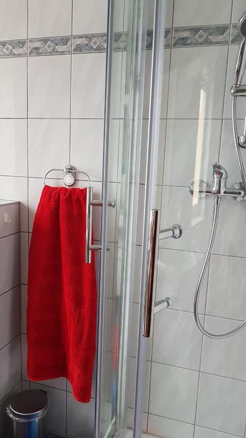 Ferienwohnung Mit Garten Und Spielplatz Klingenthal Exteriör bild