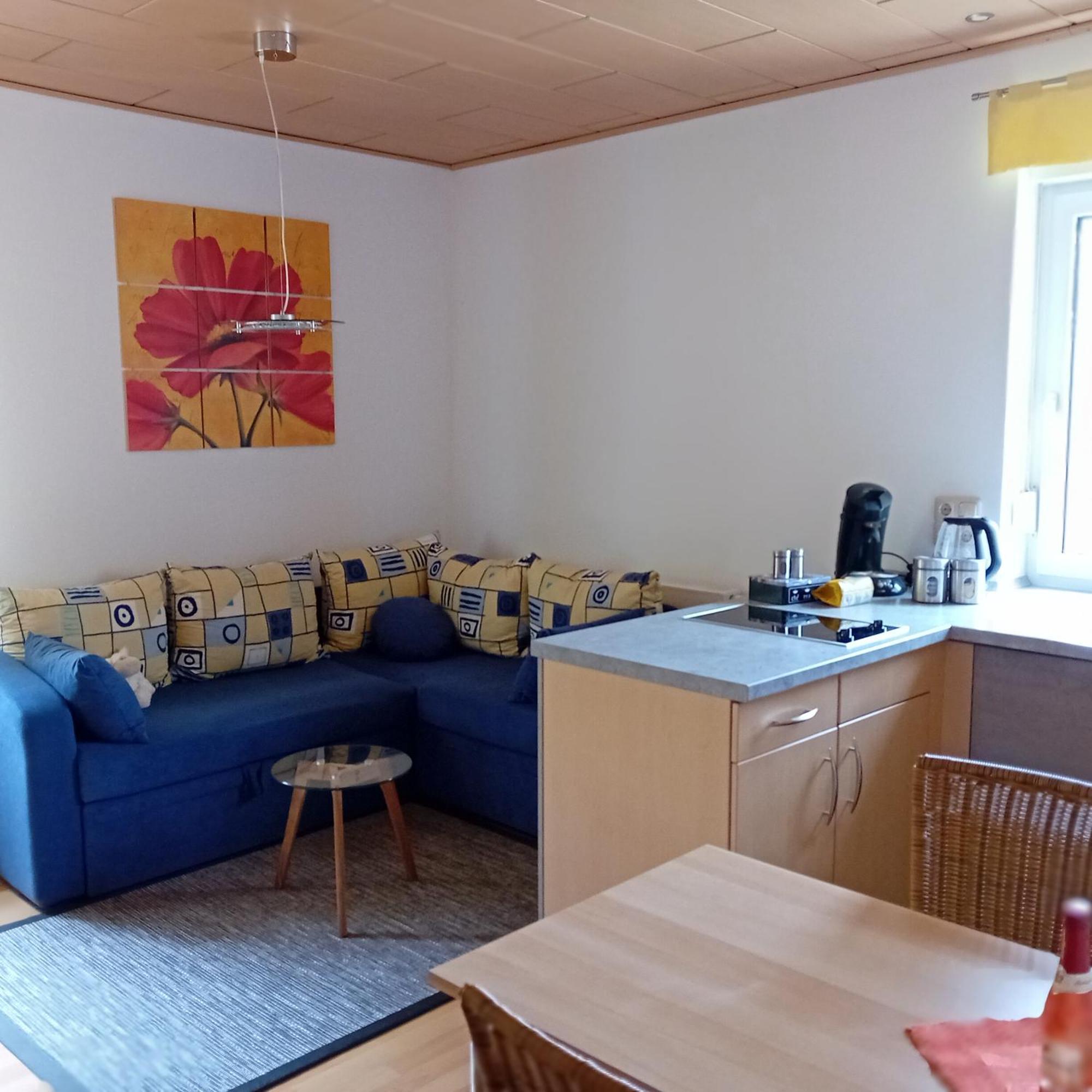 Ferienwohnung Mit Garten Und Spielplatz Klingenthal Exteriör bild